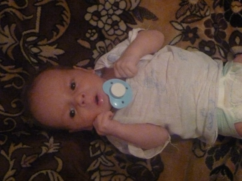 Леонид Бреер фотография #2