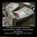 Фотография Грекова Михаила