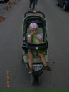 Фотография Капрош-Штальвель Риты