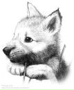 Натусь_ Ка фотография #26 (источник - https://vk.com/id98890317)