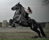 Фотография Сазонова Ильи