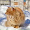 Фотография Закатаева Игоря