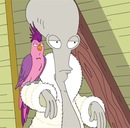 Фотография Козаченко Анны