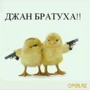 Фотография Бабирова Рустама