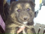 Фотография Шляковой Марии