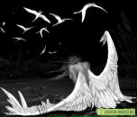 Інна Корчук фотография #31 (источник - https://vk.com/id10304236)