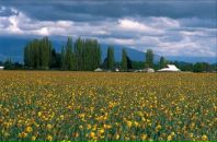 Фотография Бикбулатова Рафаэля