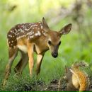 Фотография Ковалёвой Ольги