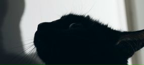 Фотография Халтуриной Евгении