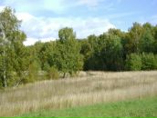 Фотография Вышутиной Светланы