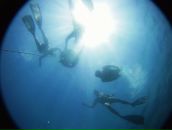 Фотография Ткача Даниила