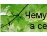 Іванна Домащук фотография #39 (источник - https://vk.com/id133020616)