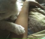 Фотография Погребинской Инны