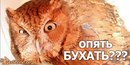Рома Ніщот фотография #48 (источник - https://vk.com/id132656505)