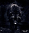 Ростик Рудніцький фотография #40 (источник - https://vk.com/id109596527)