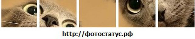 Iri Ri фотография #18 (источник - https://vk.com/id272012)