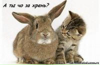 Фотография Ярославовой Ярославы