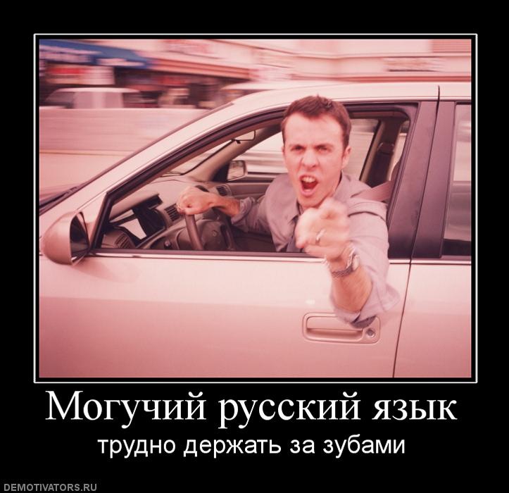 Руслан Мышкин фотография #40