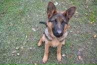 Фотография Рожина Александра