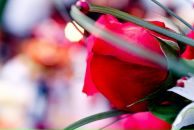 Фотография Михеевой Оксаны