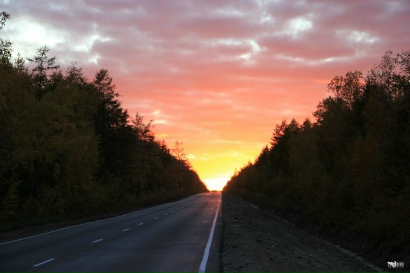 Слава Гриценко фотография #29