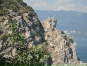 Андрей Тарасенко фотография #12 (источник - https://vk.com/id12523765)