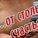 Діана Місечко фотография #48 (источник - https://vk.com/id132903243)