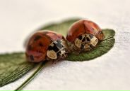 Фотография Пилар Pilar