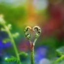 Фотография Бессор Галины