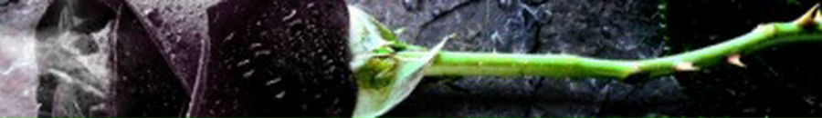 Діма Петров фотография #35 (источник - https://vk.com/id76484046)