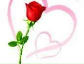 Mehmet Güneş фотография #2 (источник - https://vk.com/id167754018)