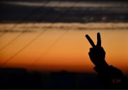 Фотография Полякова Николая