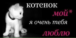 Алінка Совтан фотография #34 (источник - https://vk.com/id88707359)