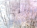 Наталія Кірюхіна фотография #36 (источник - https://vk.com/id142137412)