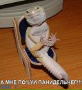 Олег Бондар фотография #22 (источник - https://vk.com/id190507136)