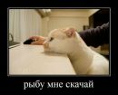 Roman Romaniv фотография #21 (источник - https://vk.com/id108851184)
