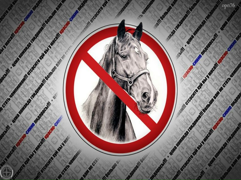 Димка Bimbls фотография #45