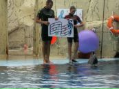 Мурад Габібулаєв фотография #22 (источник - https://vk.com/id70135632)