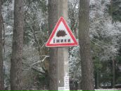 Фотография Саватеевой Ольги