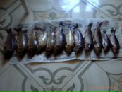 Віктор Струк фотография #18 (источник - https://vk.com/id126706240)