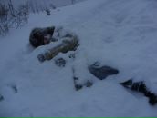 Женя Соловых фотография #15 (источник - https://vk.com/id75674)