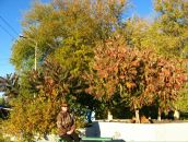 Фотография Пушкаревой Татьяны