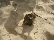 Ігор Костюк фотография #32 (источник - https://vk.com/id121317573)