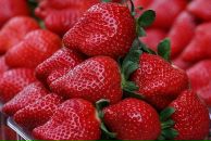 Фотография Третьяковой Альбины