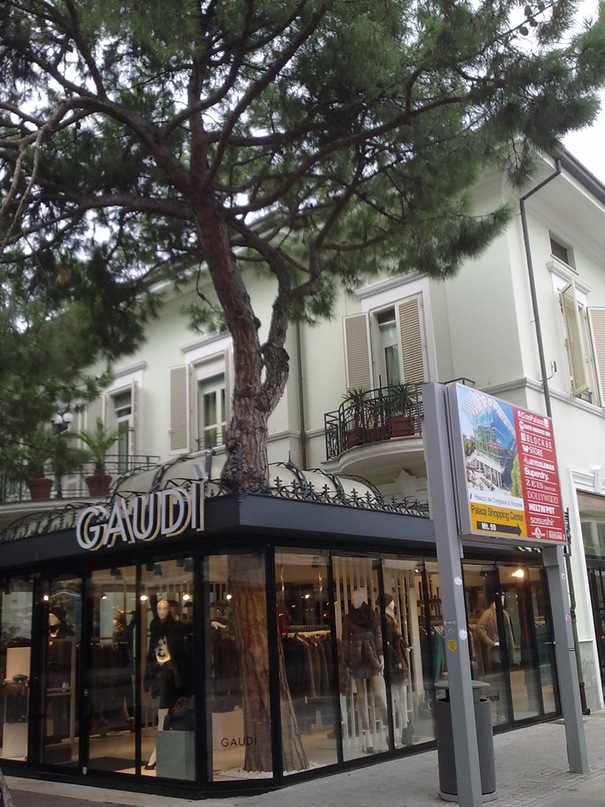 Сергей Савченко фотография #39