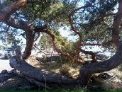 Дмитрий Крамарев фотография #47 (источник - https://vk.com/id274882)