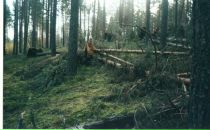 Фотография Труновой Татьяны