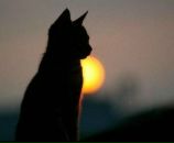 Фотография Пиляевой Ирины