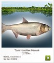 Тарас Гуржій фотография #34 (источник - https://vk.com/id156001958)