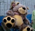 Фотография Ильин Сергей